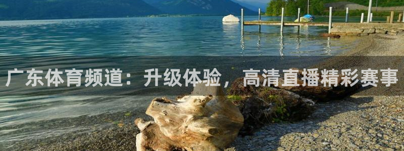 jrkan直播体育nba：广东体育频道：升级体验，高清直播精彩赛事