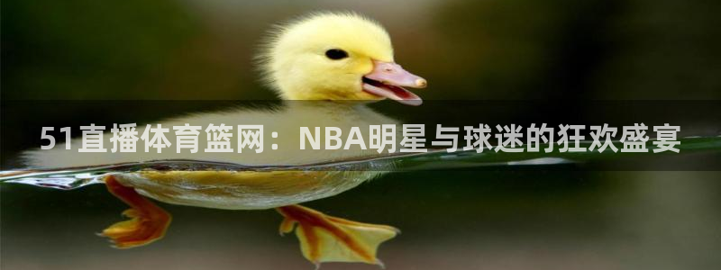 jrkan篮球直播：51直播体育篮网：NBA明星与球迷的狂欢盛宴
