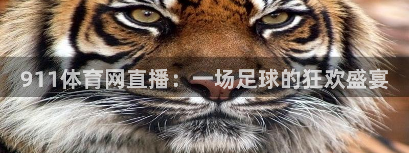 jrkan直播nba在线直播：911体育网直播：一场足球的狂欢盛宴