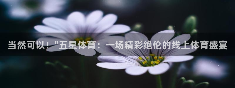 jrkan2023免费体育直播：当然可以！\
