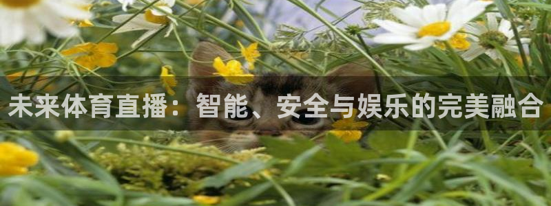 jrkan篮球直播：未来体育直播：智能、安全与娱乐的完美融合