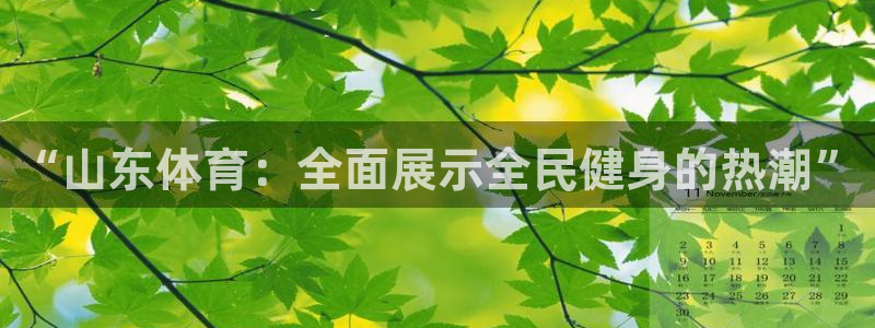 jr看直播nba：“山东体育：全面展示全民健身的热潮”