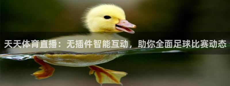 jrkan2023直播体育网：天天体育直播：无插件智能互动，助你全面足球比赛动态