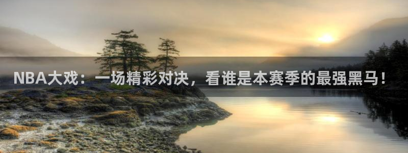 nba直播jrkan：NBA大戏：一场精彩对决，看谁是本赛季的最强黑马！