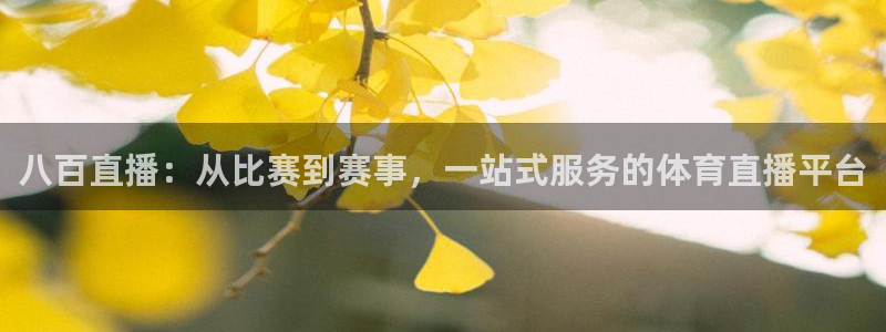 jr看球直播：八百直播：从比赛到赛事，一站式服务的体育直播平台