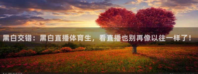 jrkankan体育直播：黑白交错：黑白直播体育生，看直播也别再像以往一样了！
