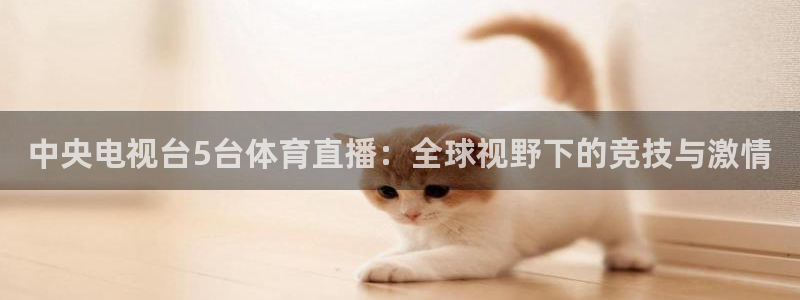 jrkan体育直播网