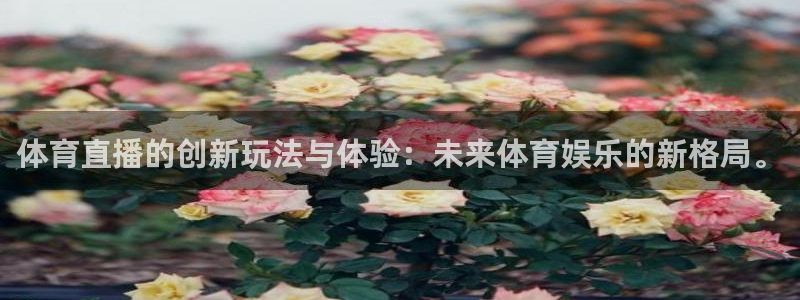 jrkan直播体育nba