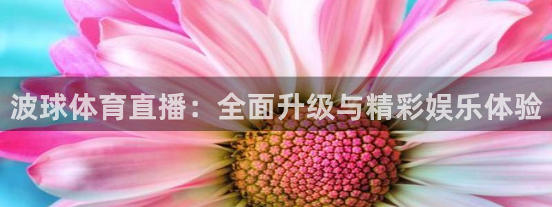 jrkan2023免费体育直播