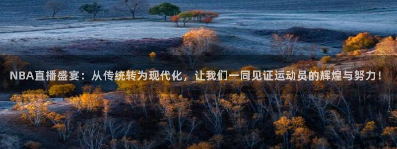 jrkan直播：NBA直播盛宴：从传统转为现代化，让我们一同见证运动员的辉煌与努力！