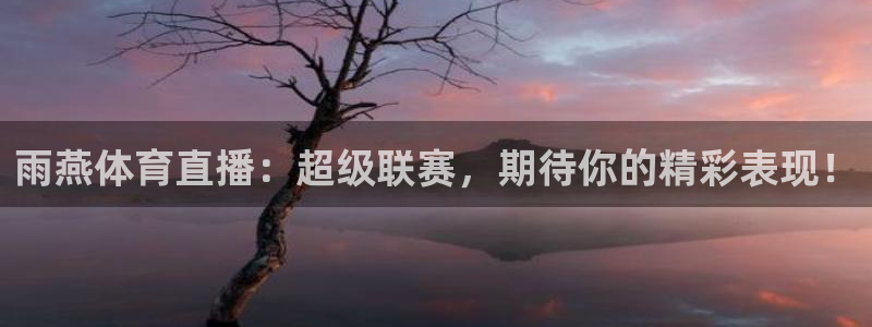 jrkan2023免费体育直播：雨燕体育直播：超级联赛，期待你的精彩表现！